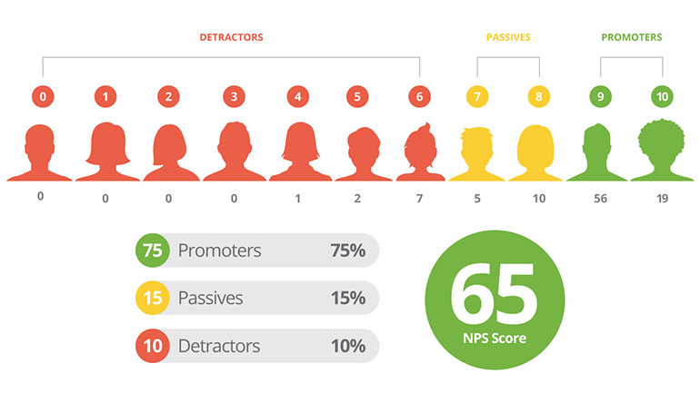 NPS example breakdown